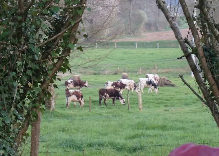 Maison Du Bed & Breakfast 3*